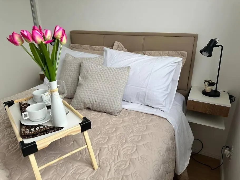 Apartamento Decorado Com Sacada No Polo Cultural E Eventos Da Cidade De Sao Paulo Apartment